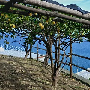  Holiday home Chez Amelie Italy